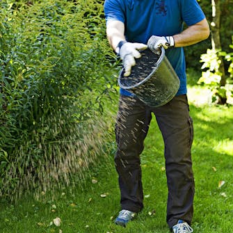 Sammal väistyy hitaasti Sammal väistyy hitaasti